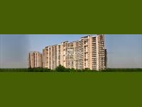 Sunworld Vanalika is a luxurious residential project located in Sector 107, Noida. It boasts of a...