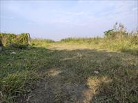 Residential Plot / Land for sale in Joka, Kolkata