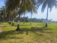 Farmland for sale in Marakkanam