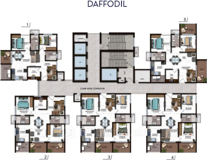 Layout