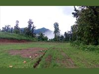 Residential Plot / Land for sale in Bhauwala, Dehradun