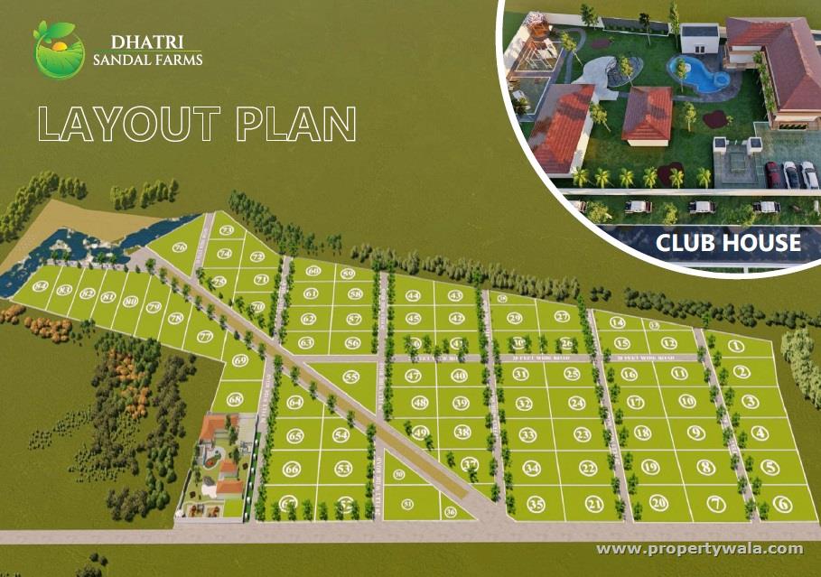 Master Plan