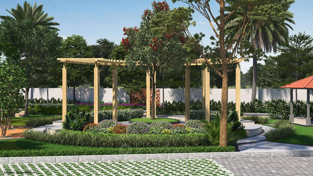 Pergola View