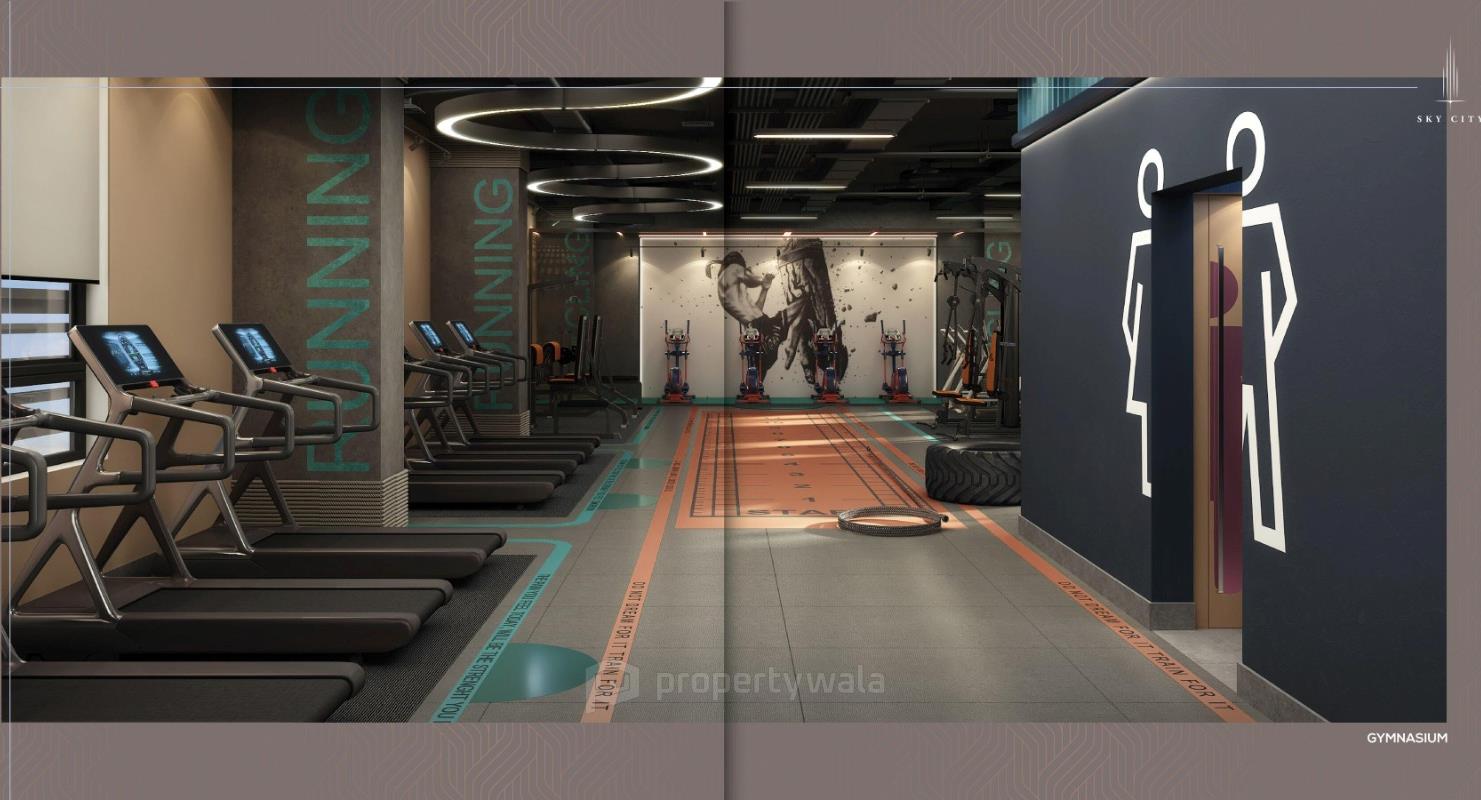 Gymnasium