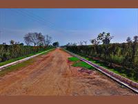 Land for sale in Sector 24A Yamuna Expressway, Greater Noida