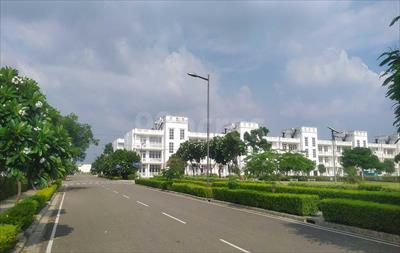 Land for sale in DLF Hyde Park, Mullanpur Garibdass, New Chandigarh