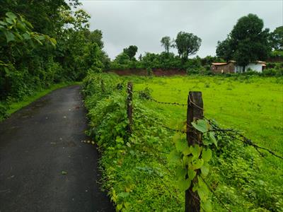 Agricultural Land for sale in Murbad, Thane