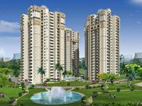 3 Bedroom Flat for rent in Supertech 34 Pavillion, Sector 34, Noida