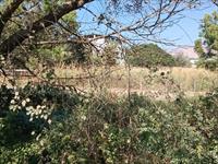 Agricultural Plot / Land for sale in Karla, Lonavala