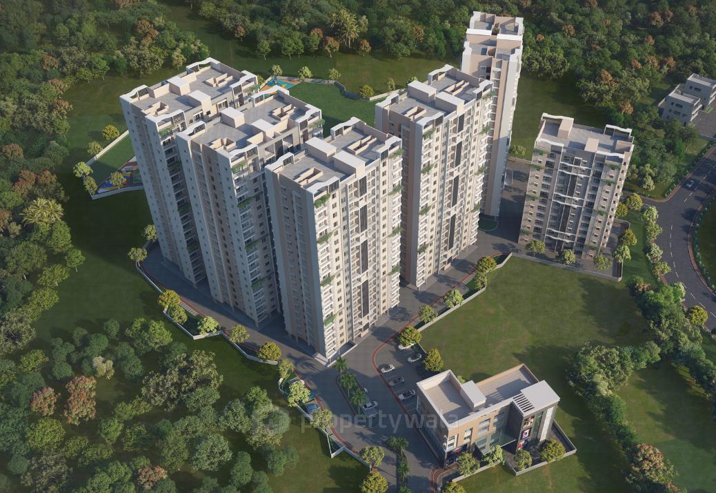 Project - Birdseye View