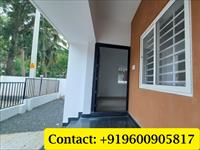 3 Bedroom Independent House for sale in Amala Nagar, Thrissur