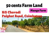 50 cents Mango farm land sale, Kg Chavadi, Palghat Rd, Coimbatore