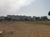site view
