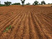 Agricultural Plot / Land for sale in Kalwar Road area, Jaipur