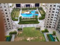 3bhk flat with teris for sale in plumera garden estate sector omicron 3 greater noida