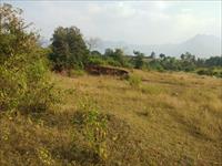 20kms from MURBAD BUS DEPOT-10acres agriculture land for sale in just 2CR