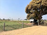 Agricultural Plot / Land for sale in Kadthal, Ranga Reddy