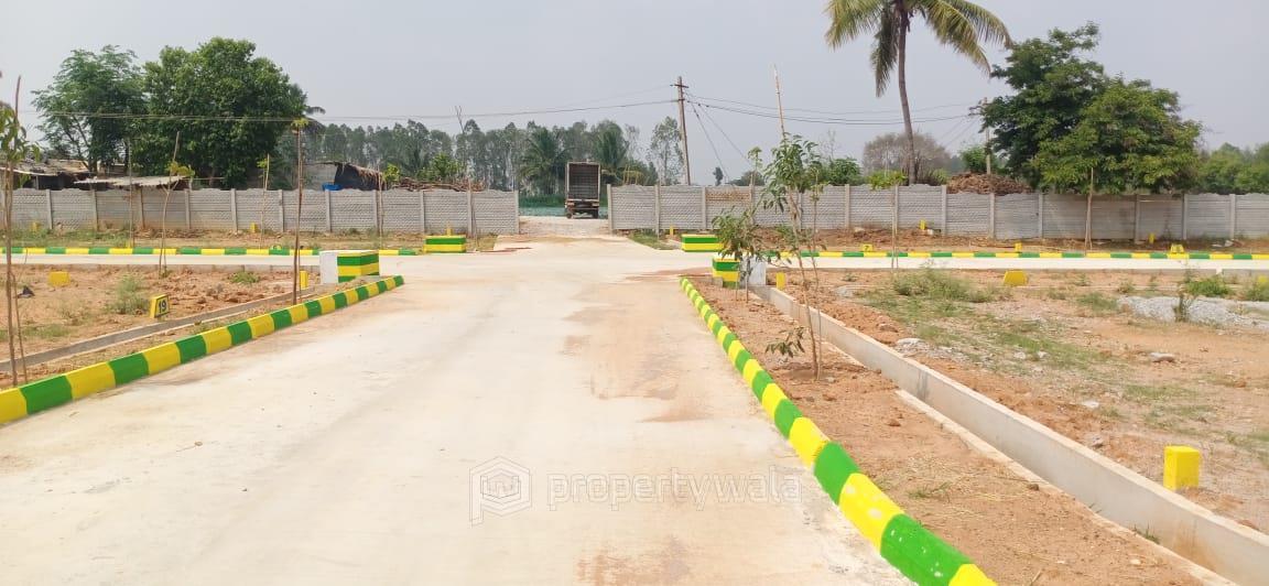 Road View