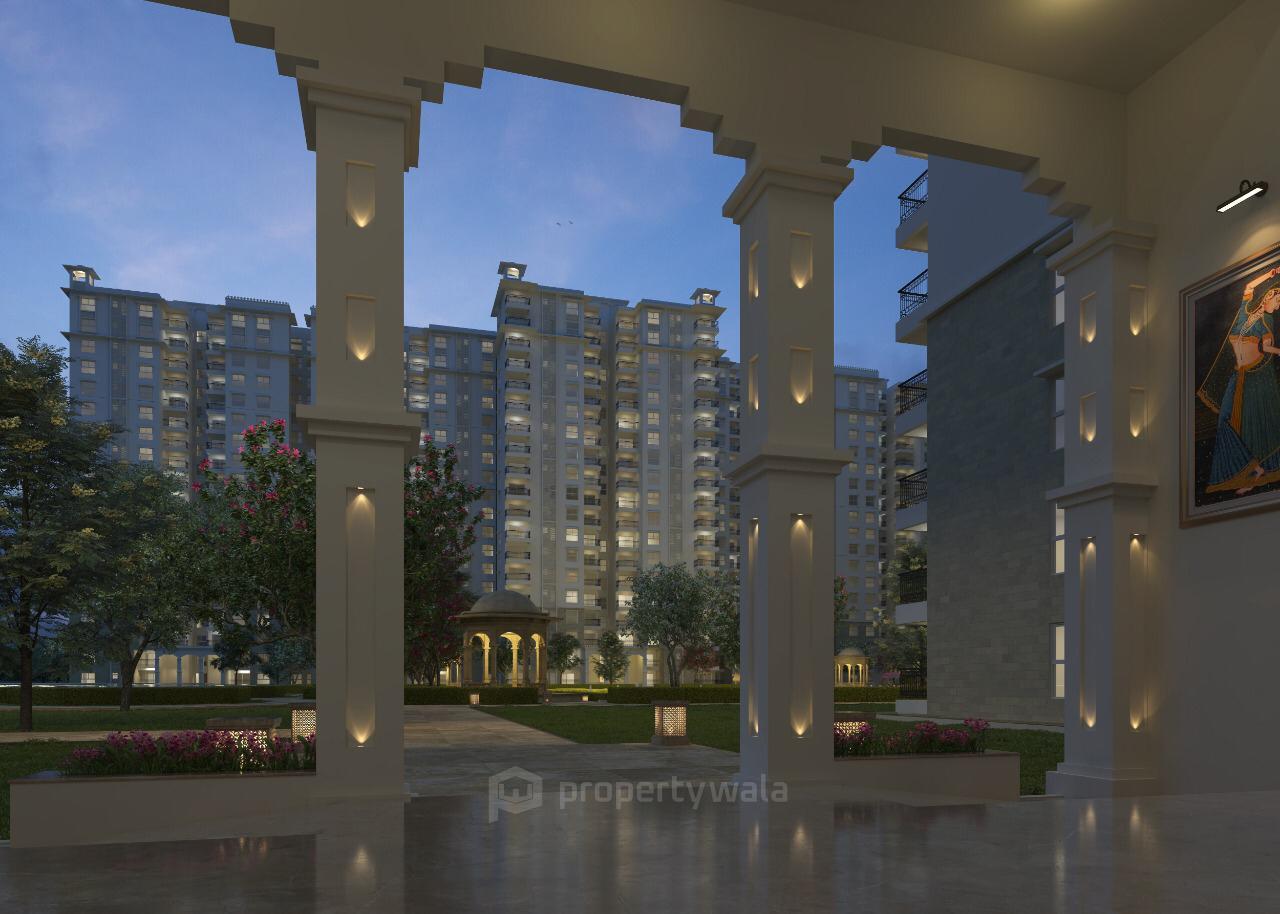 Night View
