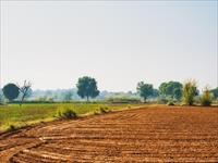 Agricultural Plot / Land for sale in Sector 77, Faridabad