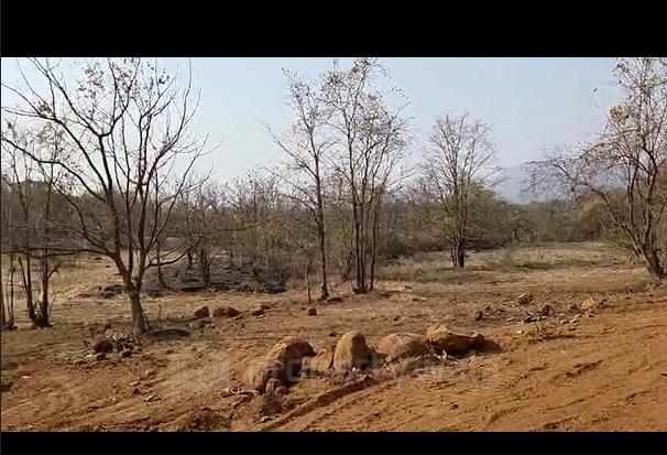 location view
