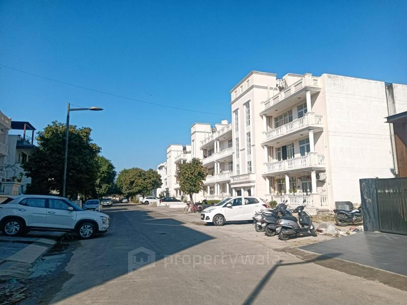 Front View