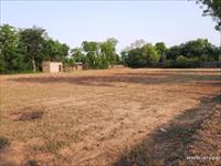 Farm House for sale in Sohna Road area, Gurgaon