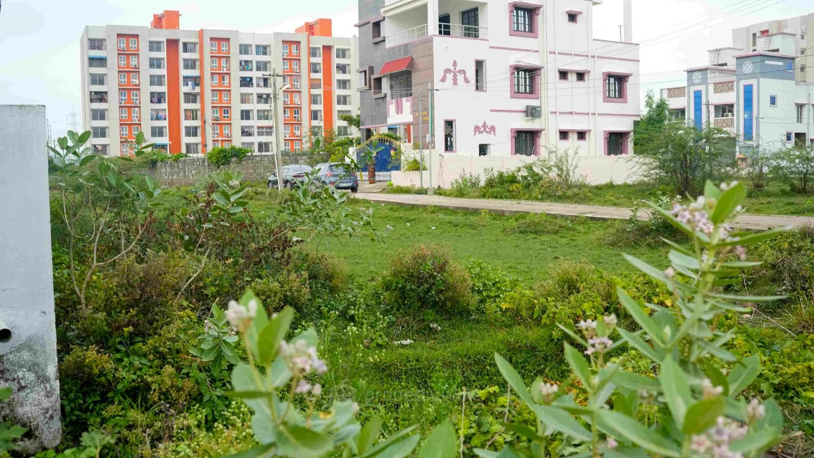Plot photo
