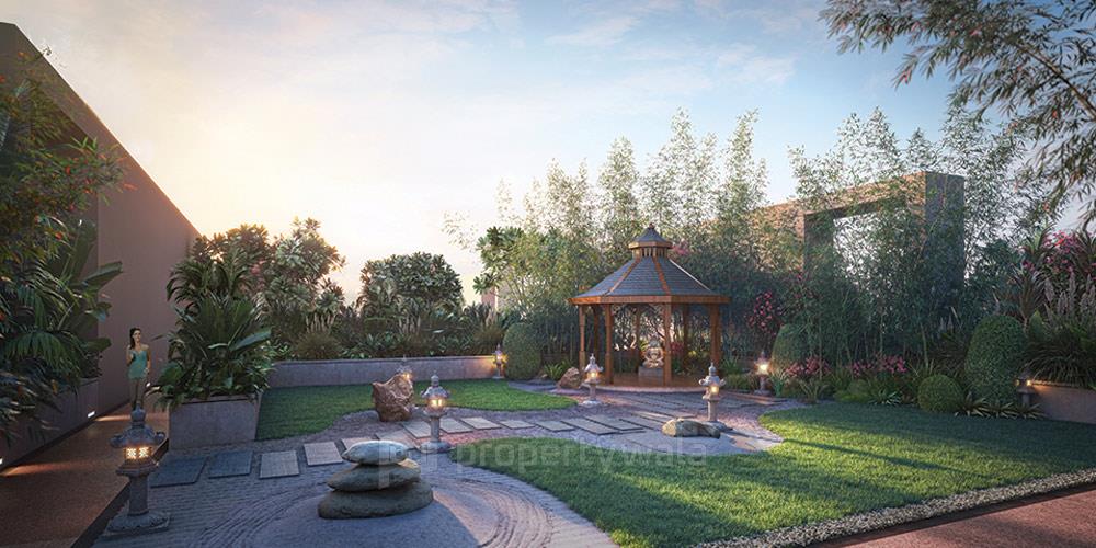 Project - Zen Garden