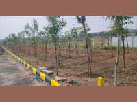 Residential Plot / Land for sale in Shadnagar, Hyderabad