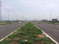 Residential Plot / Land for sale in TDI City, Sector 117, Mohali