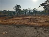 Agricultural Plot / Land for sale in Tala, Raigad