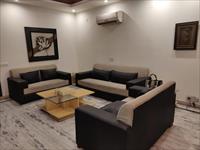 fully furnished apartment in jalandhar city
