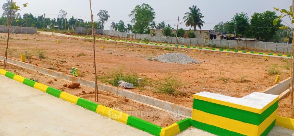 Plot View