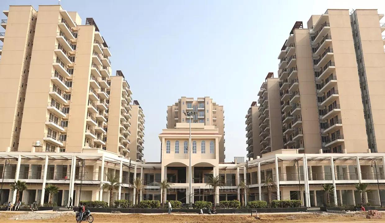 Front View