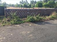 Agricultural plot sale in Raigad