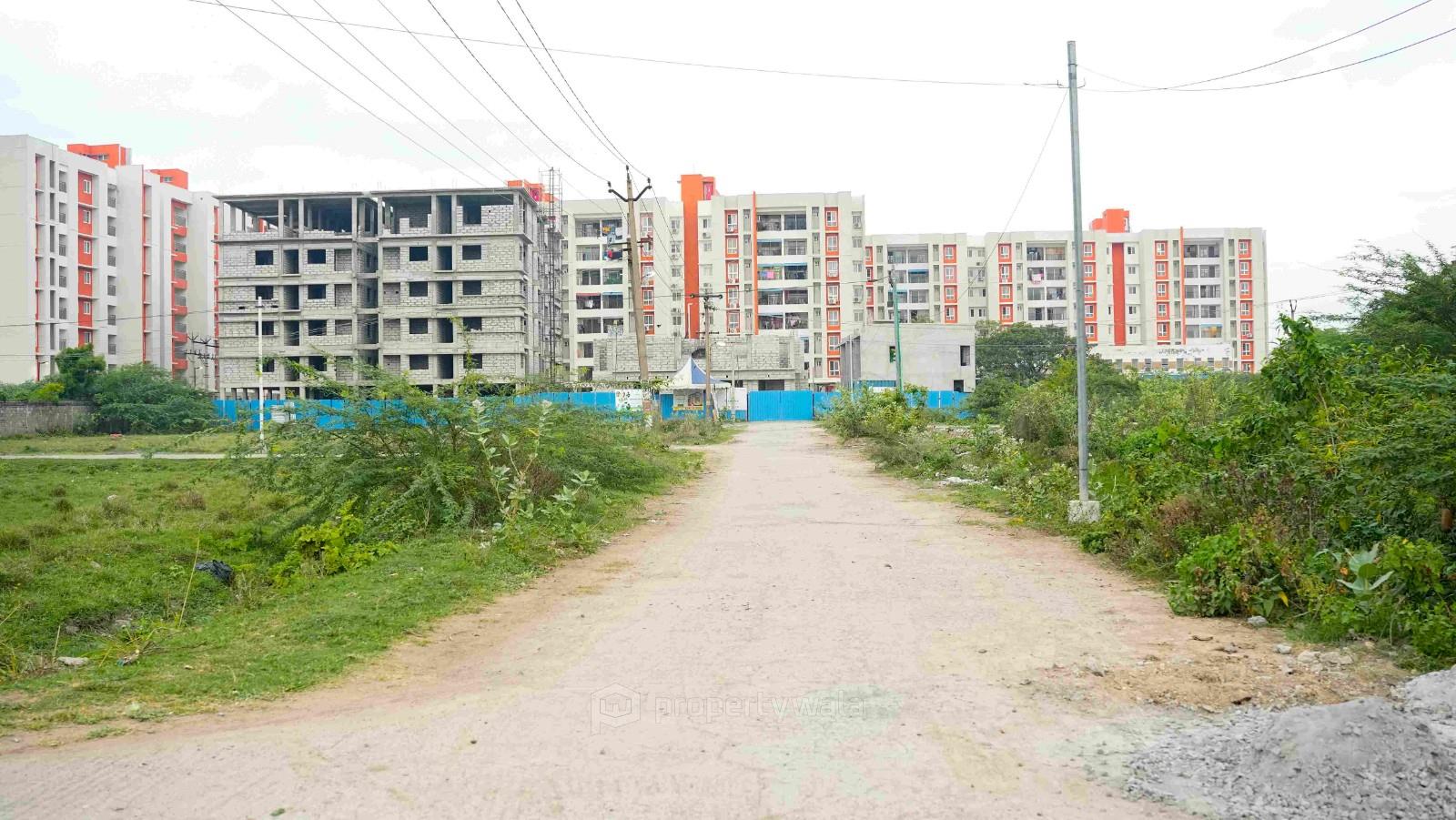 Plot photo