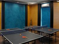 Table Tennis