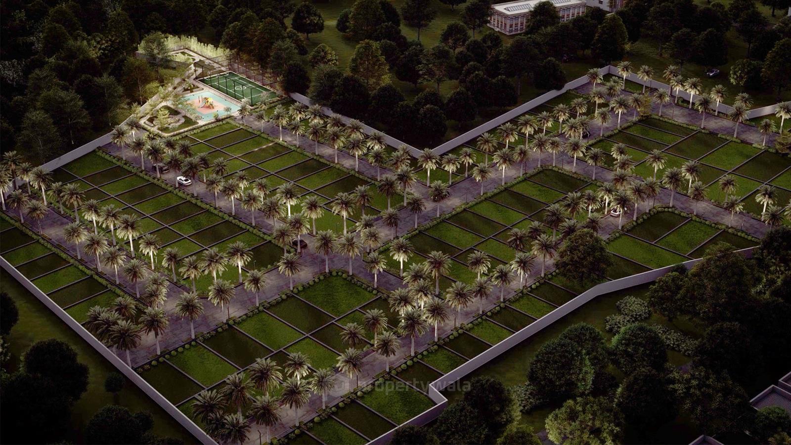 Project - Night View