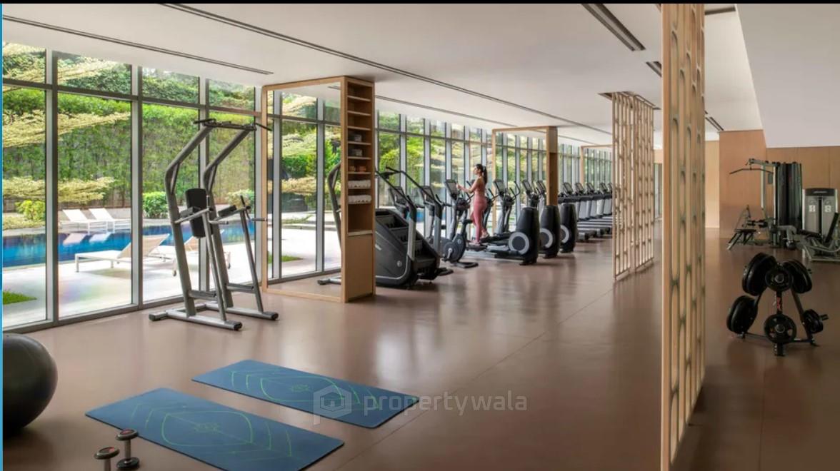 Gymnasium