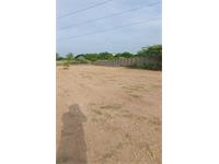 Agricultural plot sale in Chennai