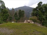 Residential Plot / Land for sale in Dhari, Nainital