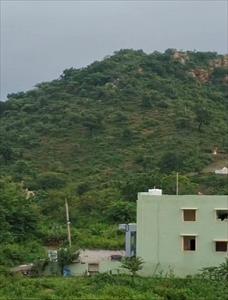 Agricultural Land for sale in Badi Road area, Udaipur