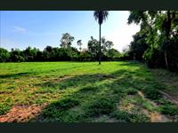 1 Bedroom Farm House for sale in Sohna Road area, Faridabad