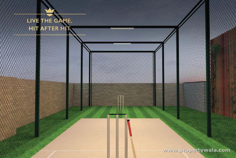 Cricket Play Area