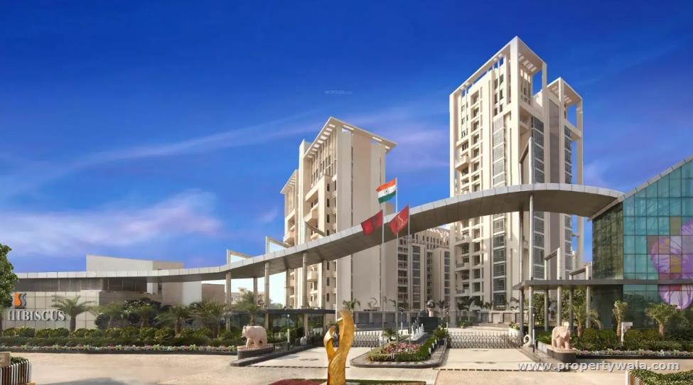 SS The Hibiscus - Sector-50, Gurgaon