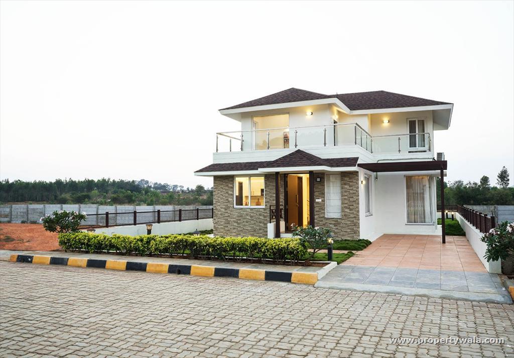Front View