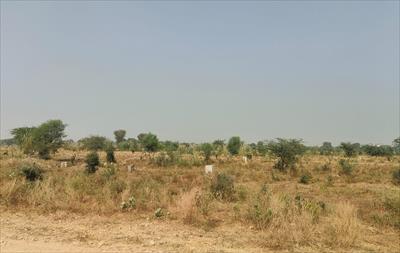 Residential Land for sale in Jagatpura, Jaipur