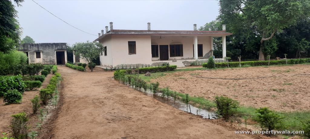 Front View