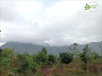 Agri Land for sale in Acreages Violet Park, Murbad, Thane
